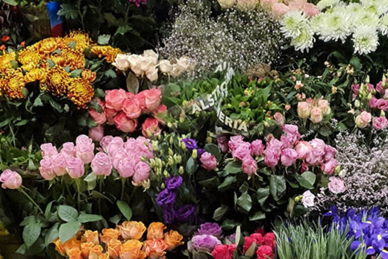 Bloemist Lilium bloemen en kado's