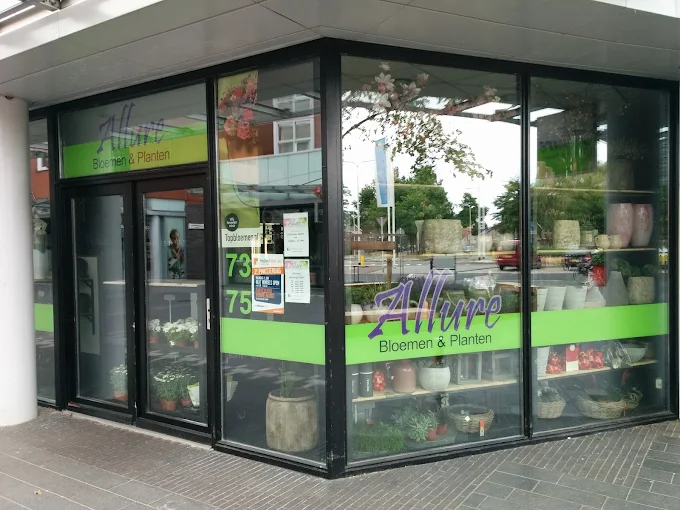 Bloemist All About Flowers