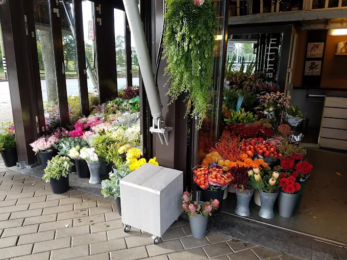 Foto van De Byzantijn