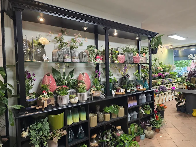 Bloemist Koki bloemen en planten