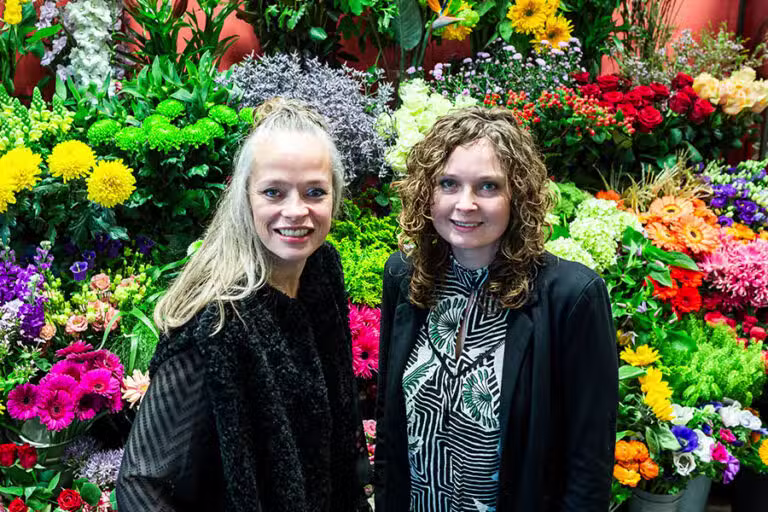 Foto van Zinnia Bloemen 2.0