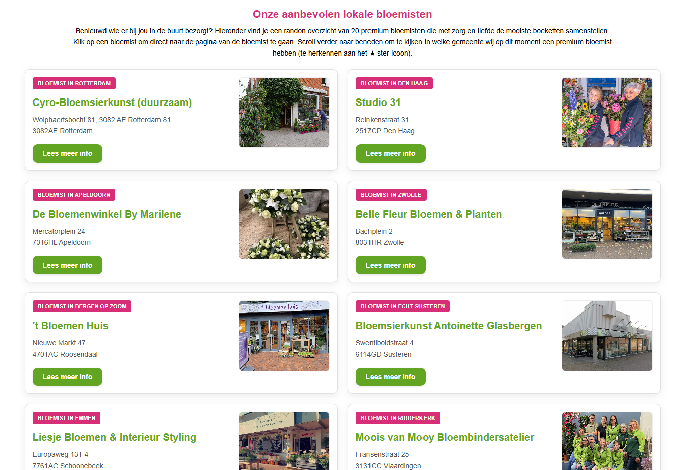 Voorbeeld Lokale Landingspagina